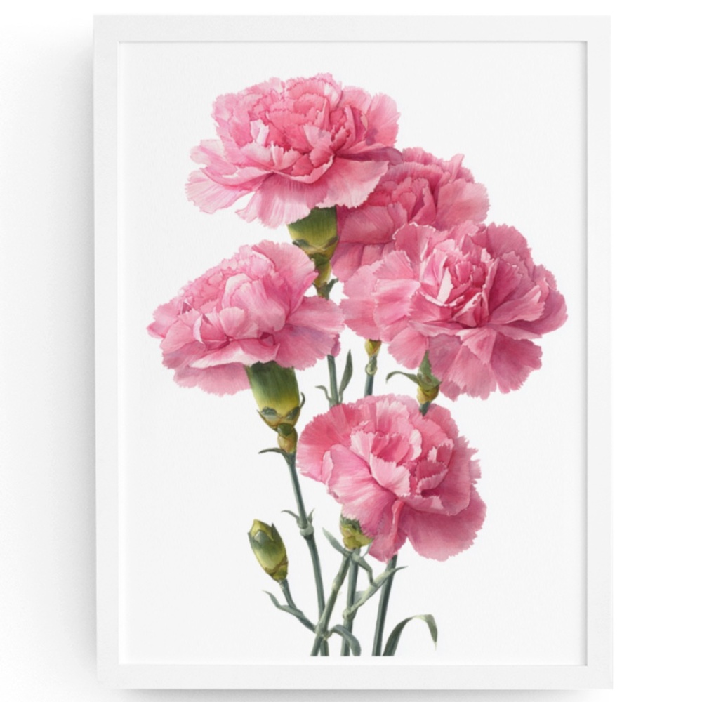 Watercolor Carnation Flowers Wall Art Print, Unframed - Vibrant Floral Grace